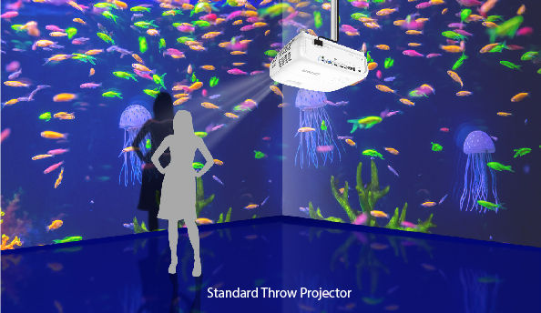 Standard Throw Projector